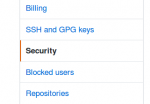 Github - security.png