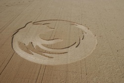 2006 crop circle.jpg